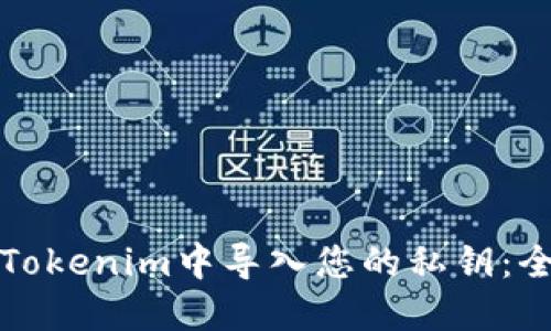 如何在Tokenim中导入您的私钥：全面指南